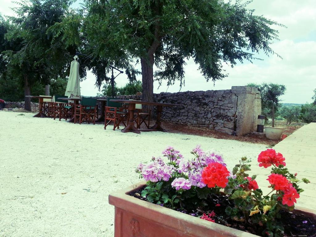 Masseria Sant'Elia Μαρτίνα Φράνκα Εξωτερικό φωτογραφία